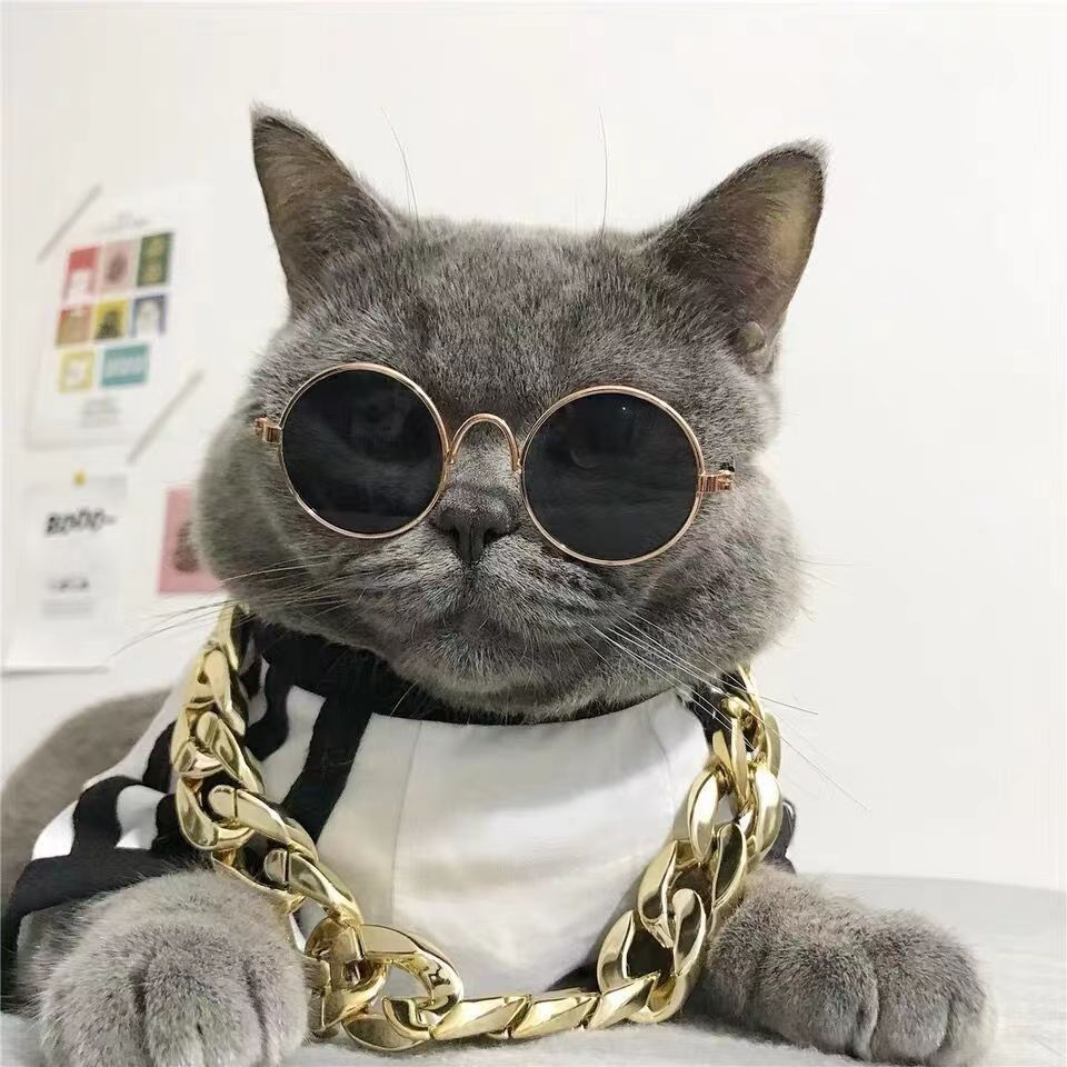 Sunglasses Cat Eye - Lovely Vintage Round Cat Sunglasses for