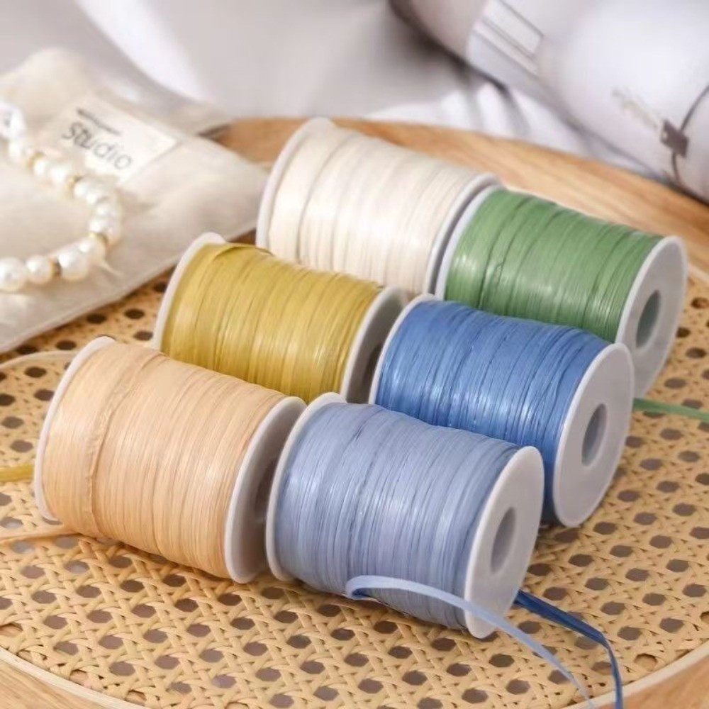 Premium Quality 120M Per Roll  - Crochet Bag Raffia reseña y precio